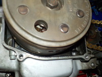 DSCN6539