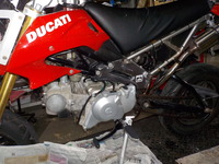 DSCN5197