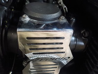 DSCN8554