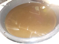 DSCN4352