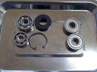 DSCN6435