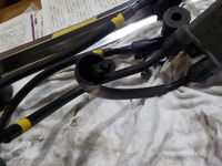 DSCN7426
