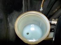 DSCN3509
