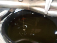 DSCN4952