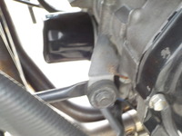 DSCN4281
