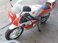 DSCN8281