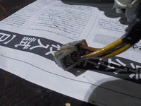 DSCN3877