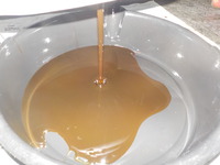 DSCN2198