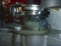 P1150999