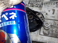 DSCN4094