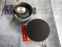 DSCN6345