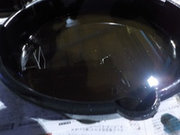 DSCN6248