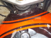 DSCN3125