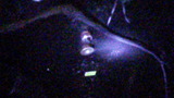 hd-xl883r20120219ws (14)