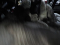 DSCN3169