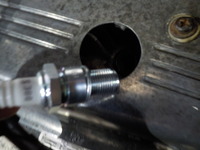 DSCN7675