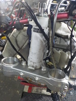 DSCN3646