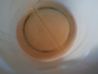 DSCN6974