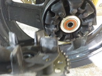 DSCN9783