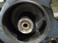 DSCN6331