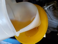 DSCN6800