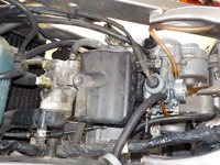 DSCN8667