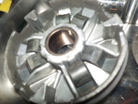 DSCN7238