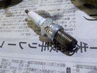 DSCN4489
