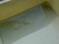 DSCN4581