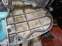 DSCN3431
