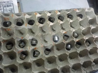 DSCN7972