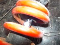DSCN8746