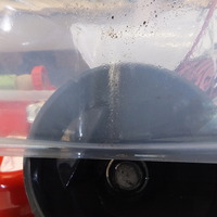 DSCF1110