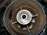 DSCN4107