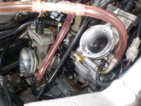 DSCN8024