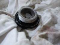 DSCN5219
