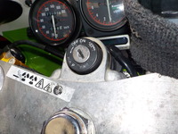 DSCN6954