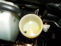DSCN6074