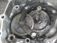 DSCN2788