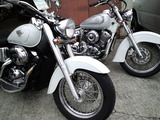 DragStar400 2001 white (8)