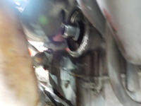 DSCN5862