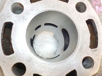 DSCN6700
