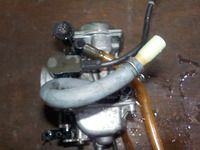 DSCN2785