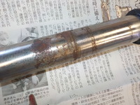 DSCN4445