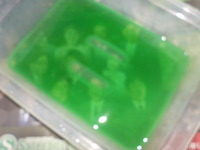 DSCN7829