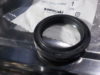 DSCN1737