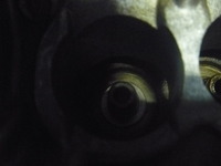 P1050177