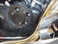 DSCN3986