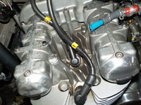 DSCN7445