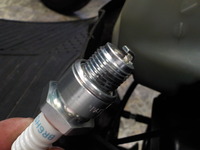 DSCN7305